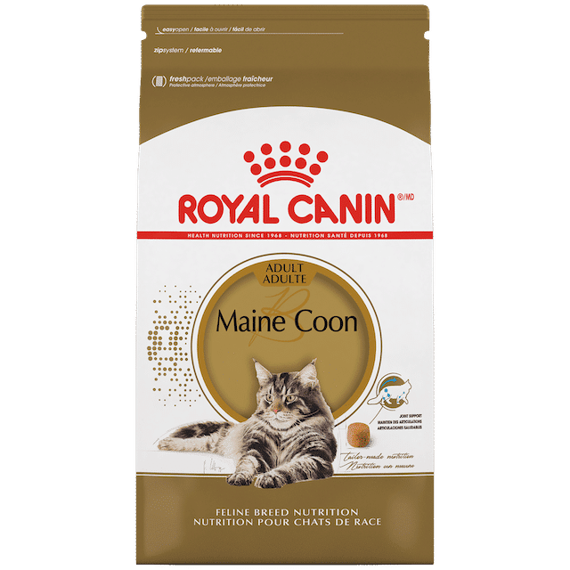 Royal Canin Maine Coon