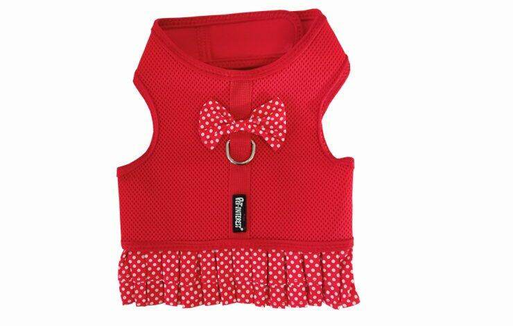 Dots Mesh Harness with Skirt