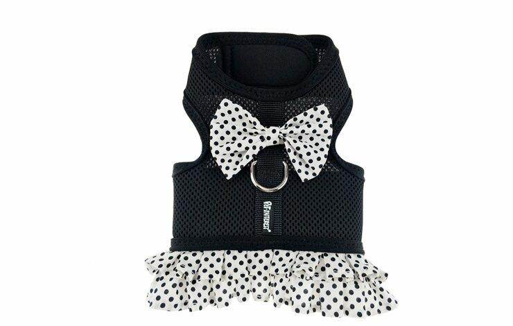 Dots Mesh Harness with Skirt