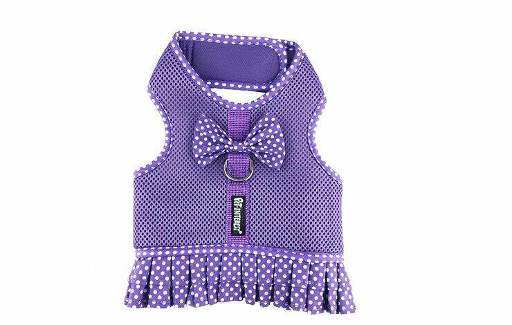 Dots Mesh Harness with Skirt