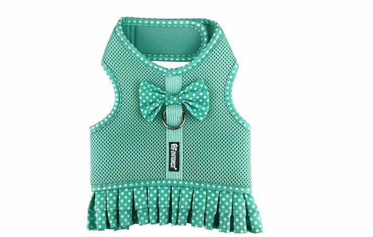 Dots Mesh Harness with Skirt