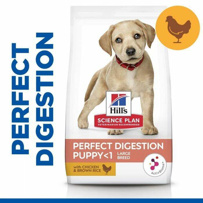 Hill’s Science Plan Perfect Digestion Puppy Large Breed Dry Food- Chicken & Brown Rice 12kg