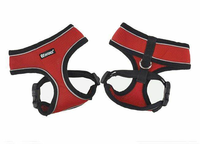 Mesh Harness with Reflective Piping