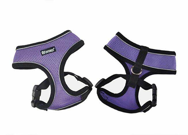 Mesh Harness with Reflective Piping