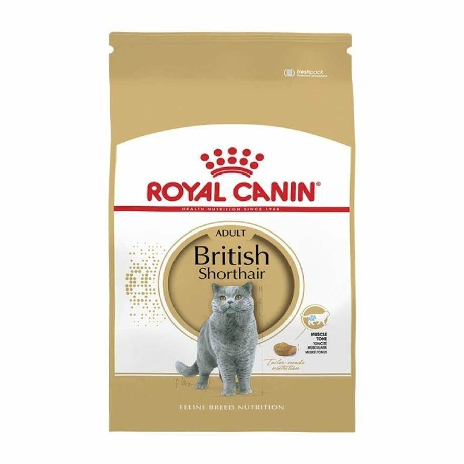 Royal Canin British Shorthair