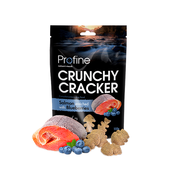 7-1.png Crunchy Cracker Salmon enriched with Blueberries - Image 1