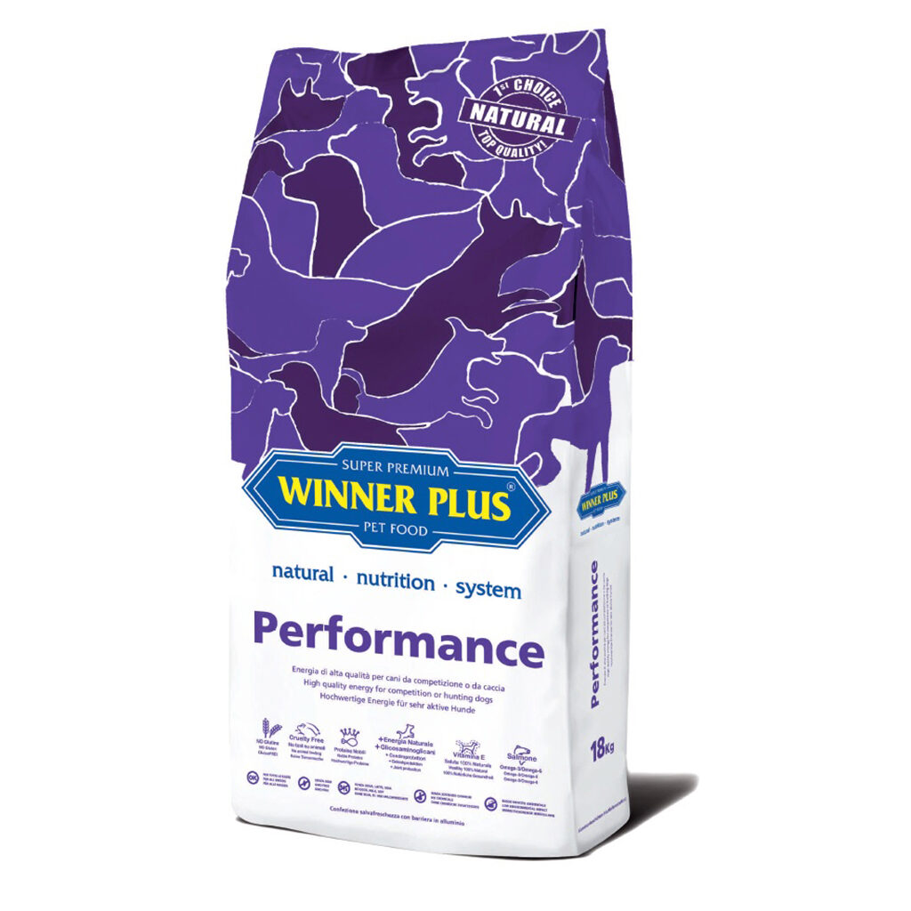 Winner Plus Performance
