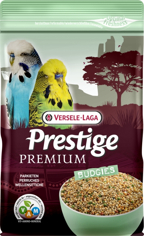 P.P BUDGIES 2.5