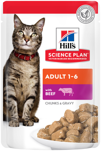 Hills Hsp Feline Adult Beef 85g