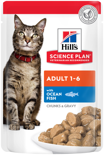 Hills Feline Adult With Ocean Fish 85g