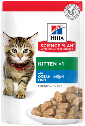 Hills Kitten With Ocean Fish 85g