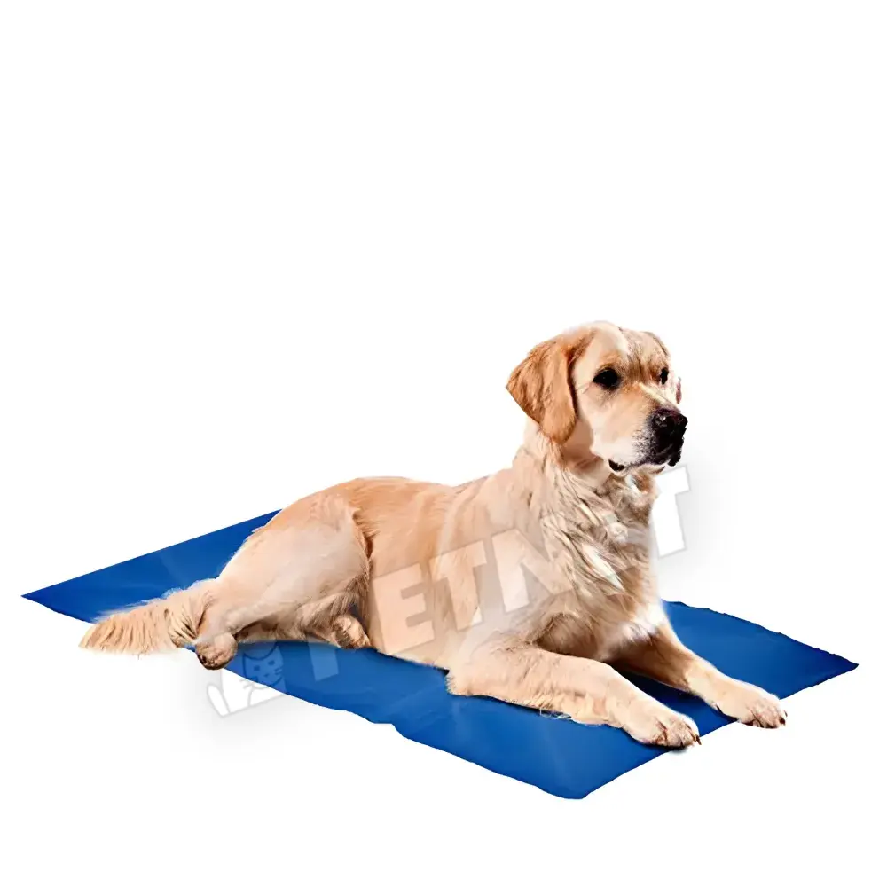 Cooling Mat XXL 110x70cm