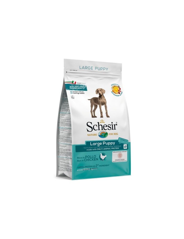Schesir Large Puppy