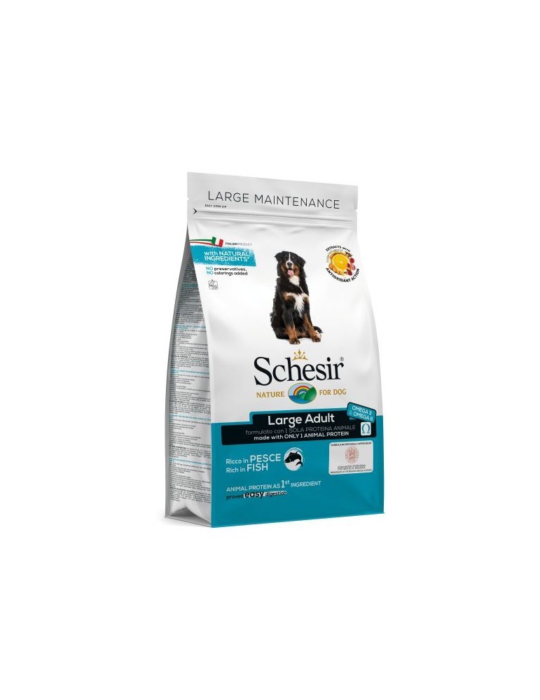 Schesir Large Adult Fish