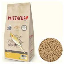 Psittacus Mini