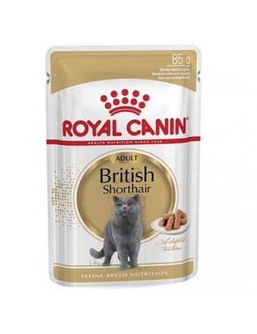 Royal Canin British Shorthair