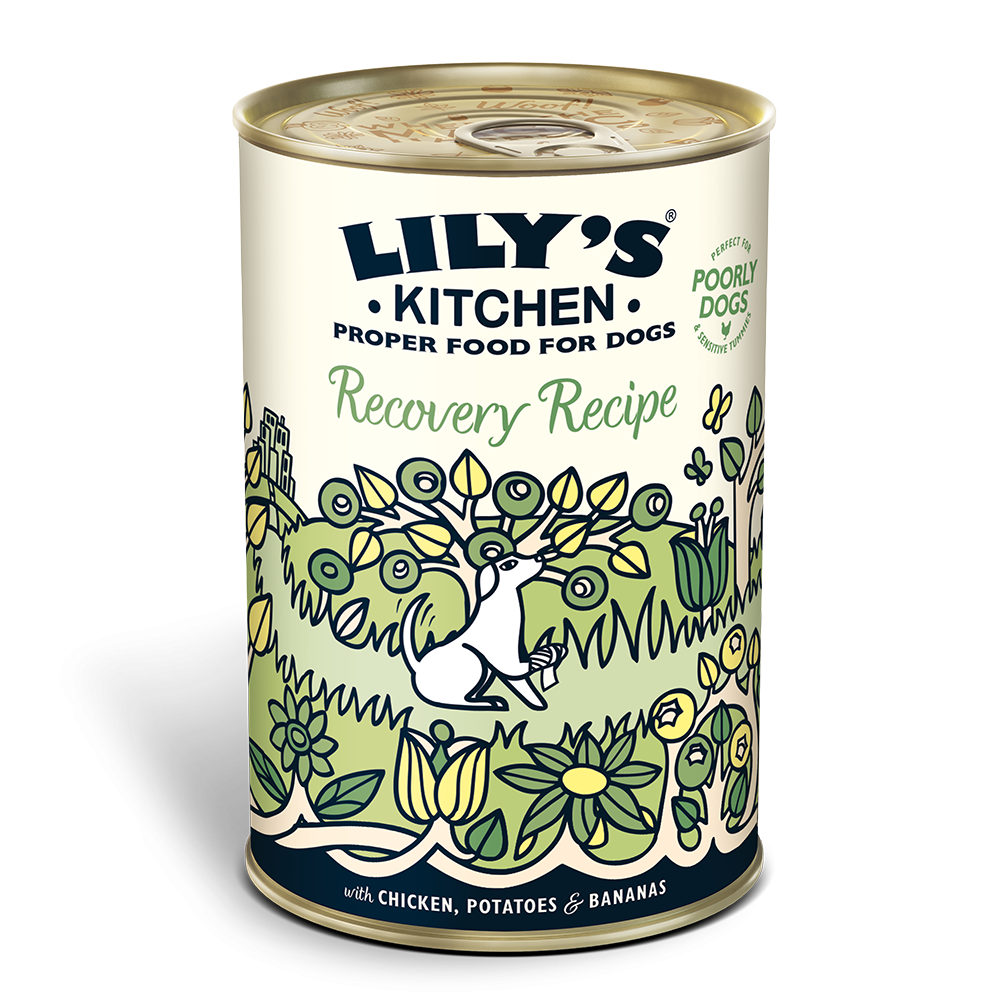 Lily's Kitchen Recovery Recipe 400g
