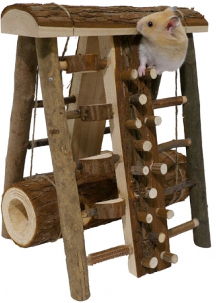 HAMSTER ACTIVITY ASSAULT COURSE