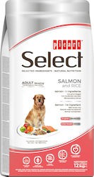 Picart Select Adult Sensitive Salmon & Rice
