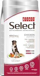 Picart Select Adult Medium Chicken & Rice