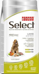 Picart Select Adult Sensitive Lamb & Rice