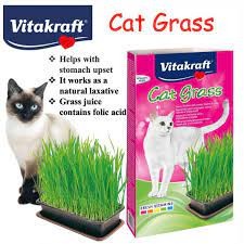 Vitakrafts Grass