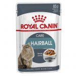Royal Canin Hairball Care