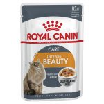 Royal Canin Intense Beauty Jelly - Image 2