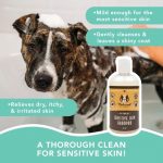 NATURAL DOG CO. SENSITIVE SKIN SHAMPOO - Image 2