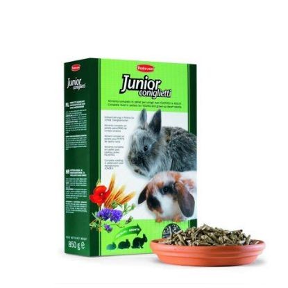 JUNIOR coniglietti