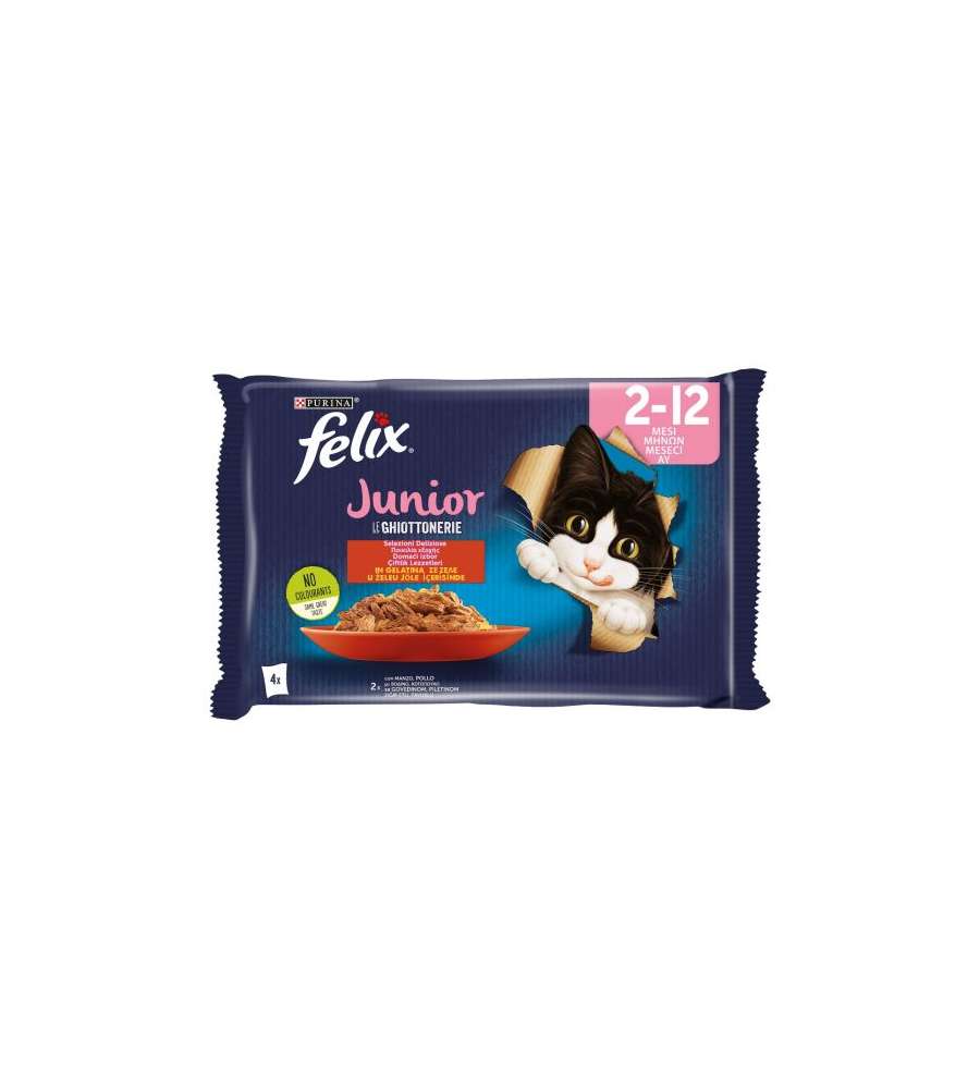 Felix Junior Agail Gij