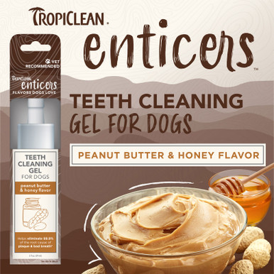 ENTICERS GEL peanut butter & honey flavor