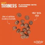 Schesir Dog Snack Training Chicken - Image 3