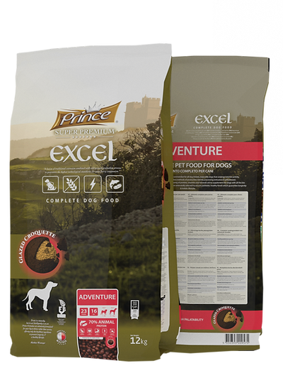 Prince Excel Adventure