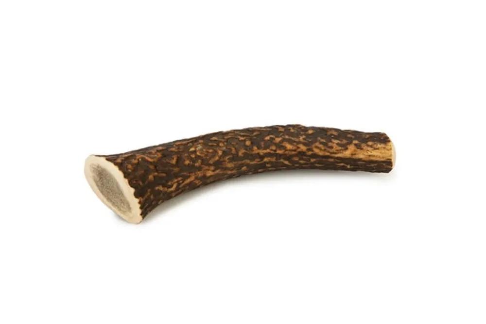 BZ DOG SNACK DEER ANTLER S L