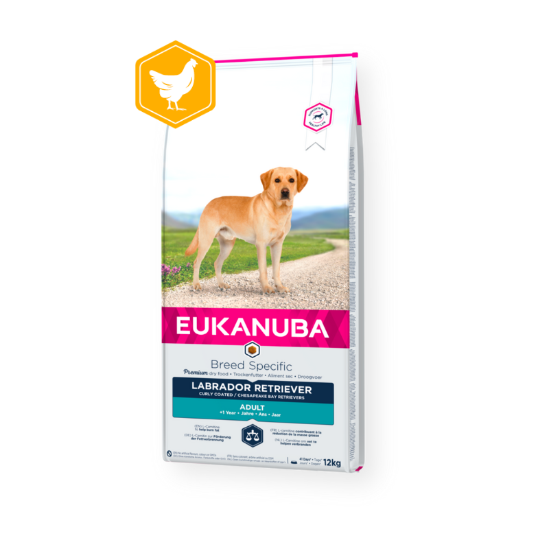 Breed-Specific-Labrador-Retriever-Adult.png Eukanuba Labrador Retriever - Image 1