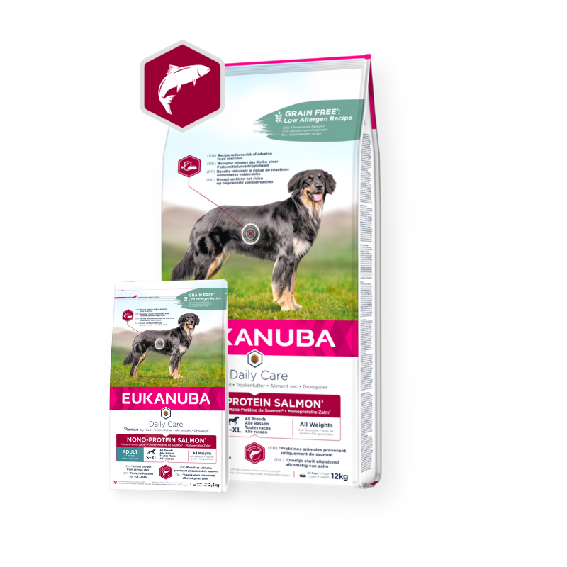 Eukanuba Daily Care Mono-Protein Adult All Breed Salmon
