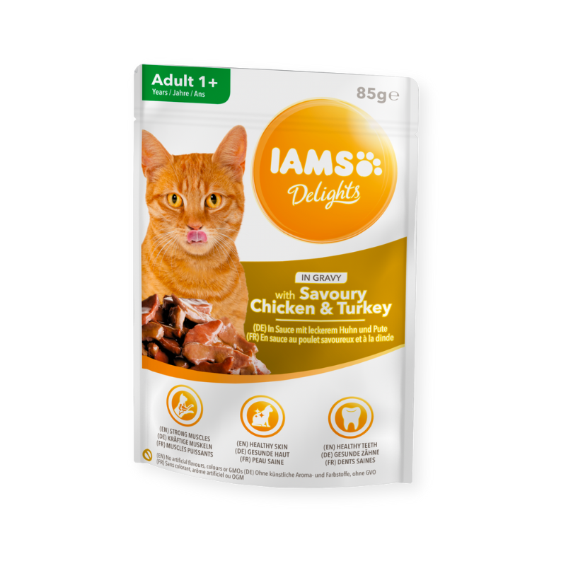 IAMS CAT CHCIKEN & TURKEY