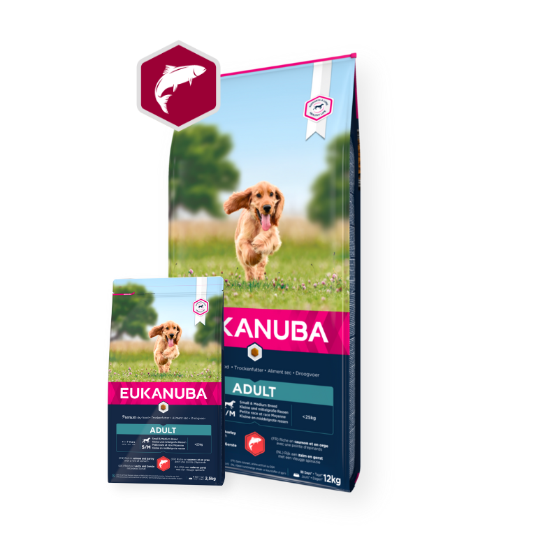 Eukanuba Adult Small / Medium with Salmon