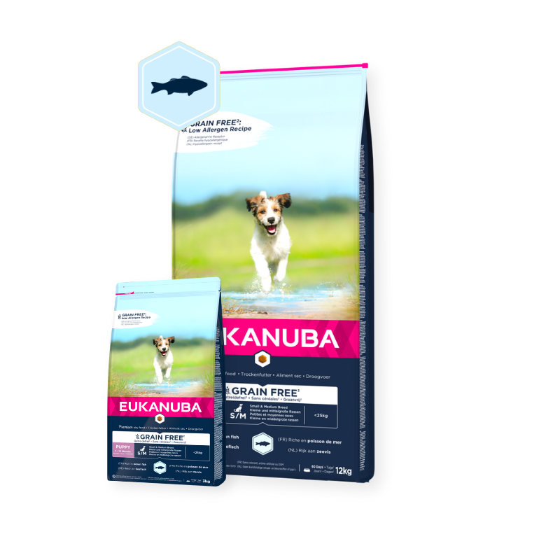 Eukanuba Puppy And Junior Grain Free Ocean Fish For Small And Medium Breeds