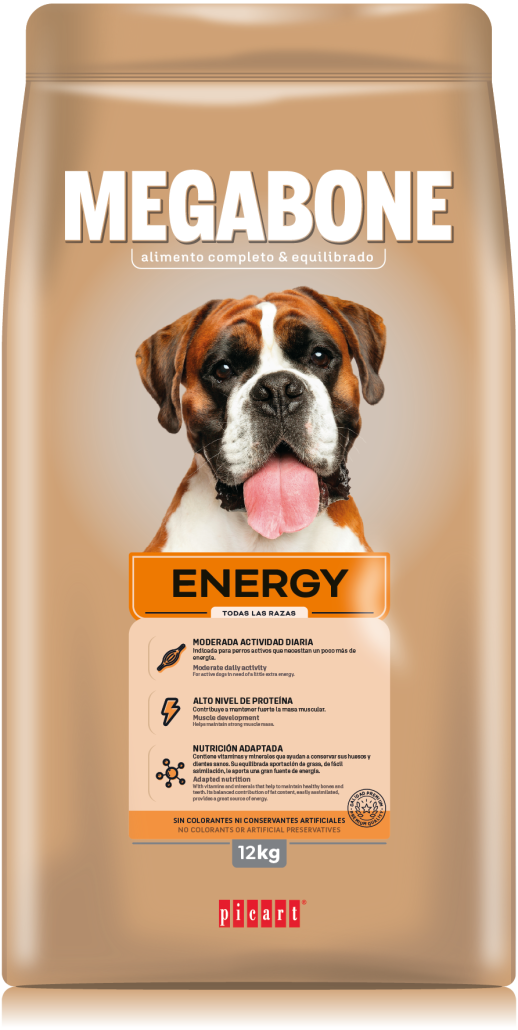 Picart Megabone Energy