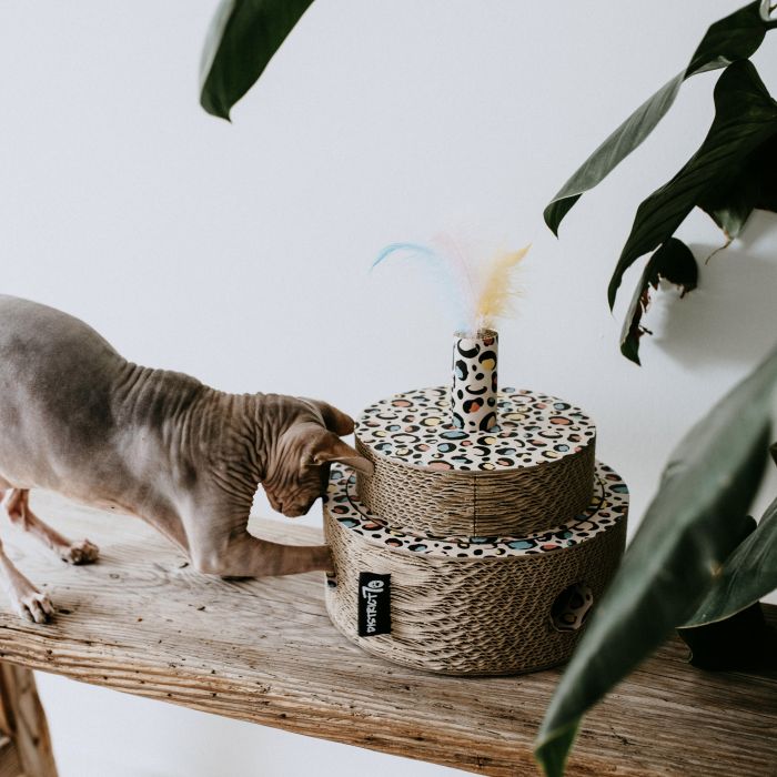 DISTRICT 70 - FIESTA SPRINKLE