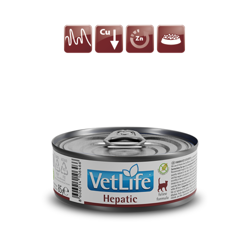 Farmina Vet Life Cat Wet Food Hepatic