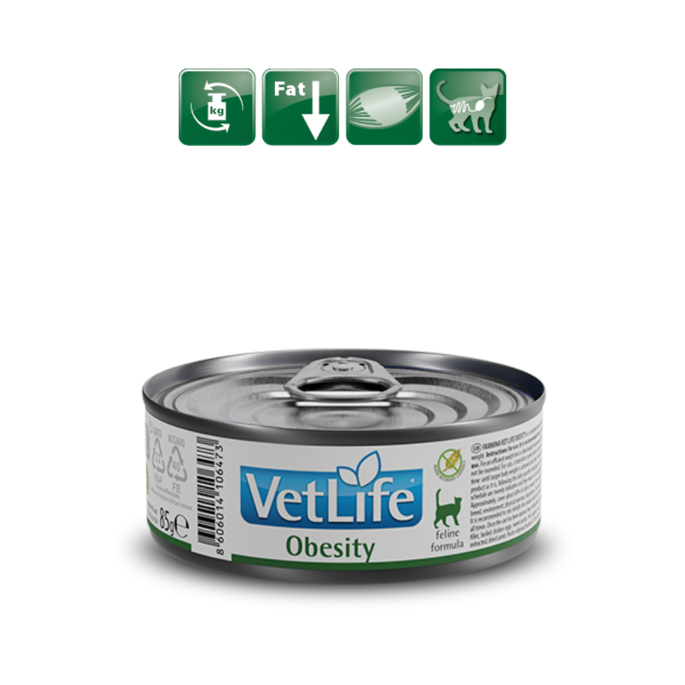 Farmina Vet Life Cat Wet Food Obesity