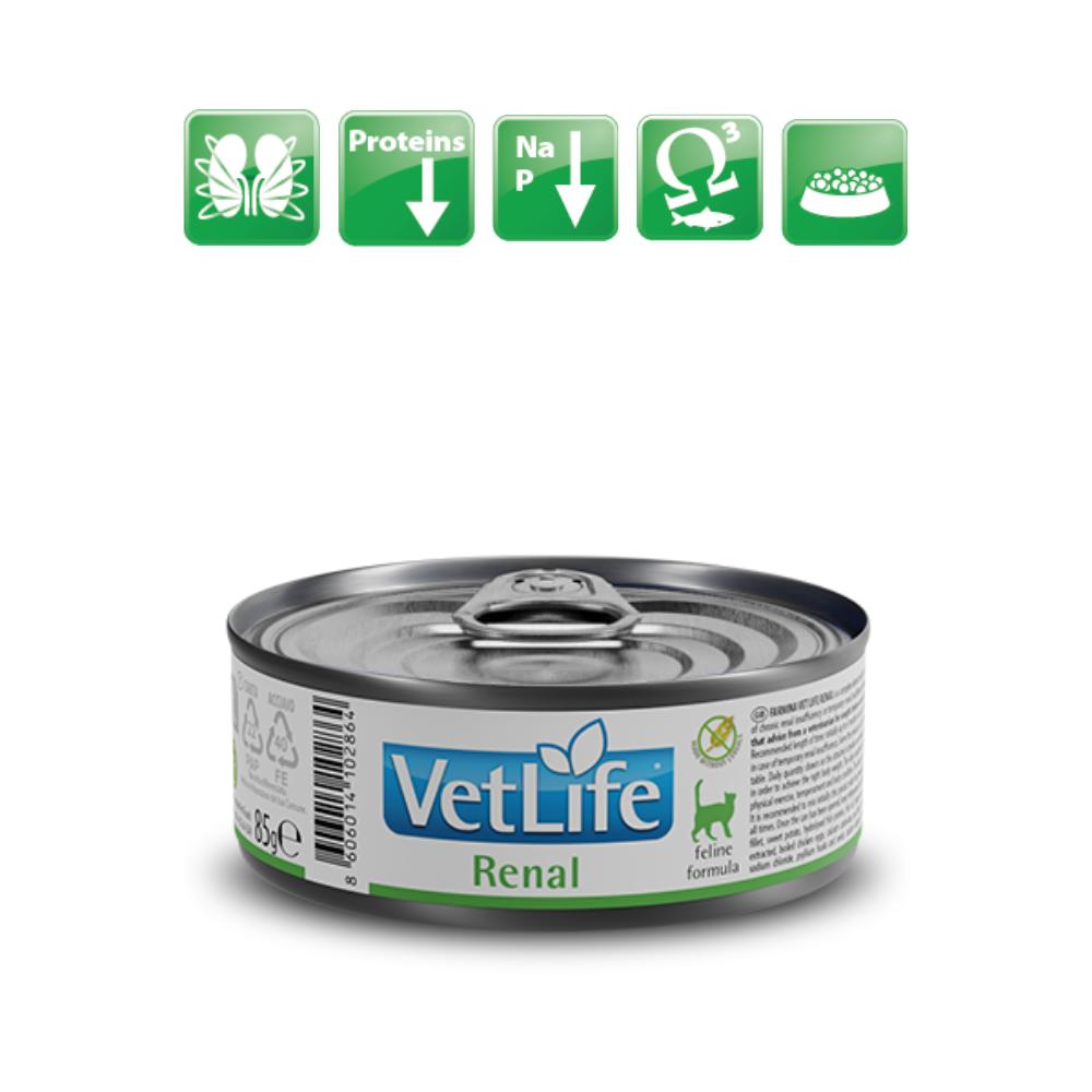 Farmina Vet Life Cat Wet Food Renal
