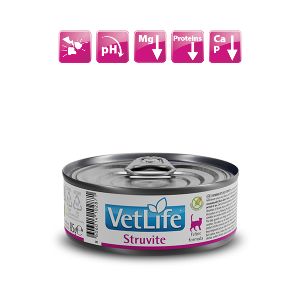 Farmina Vet Life Cat Wet Food Struvite