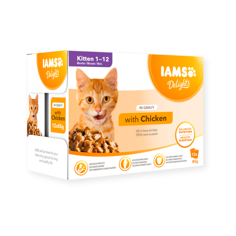 IAMS Cat Kitten with chicken  in Gravy 85gr x 12