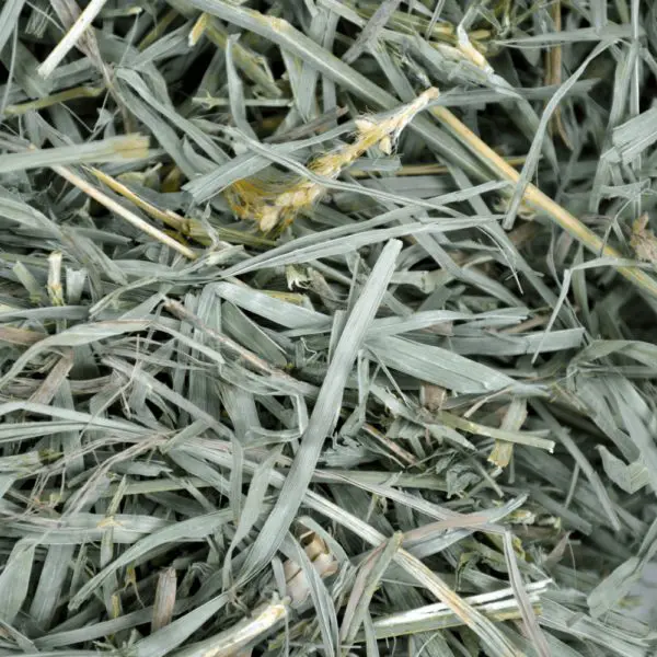 Oxbow Organic Meadow Hay