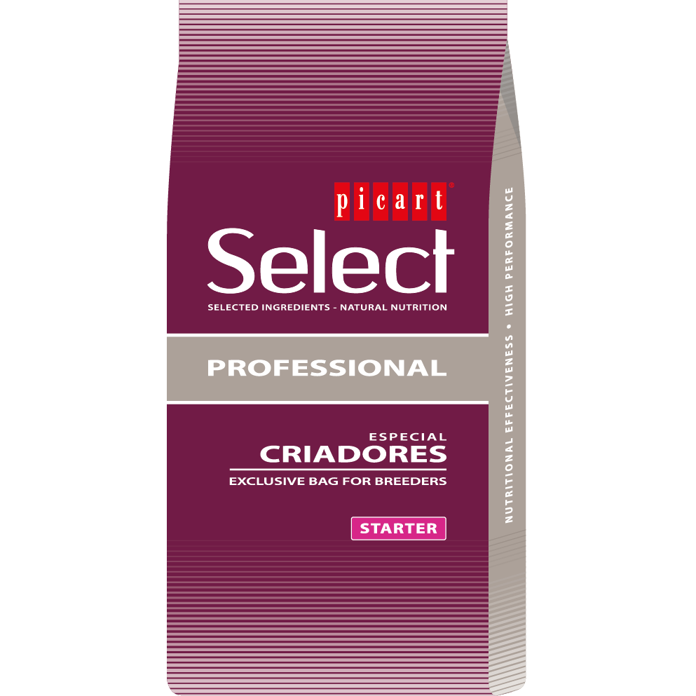 Picart Select Professional Starter