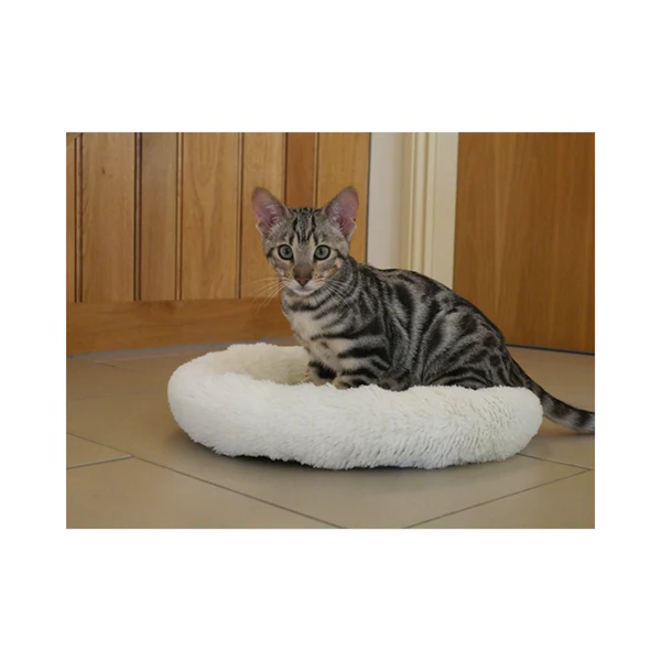 CREAM KITTEN SLEEPER